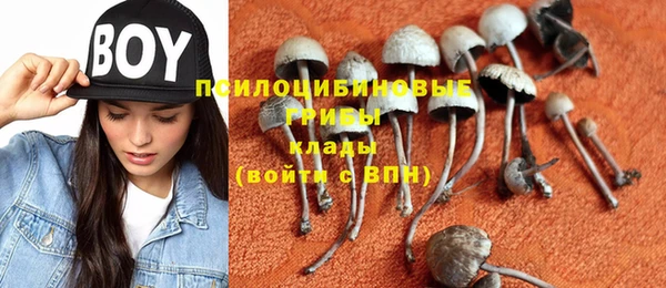 тгк Михайловск