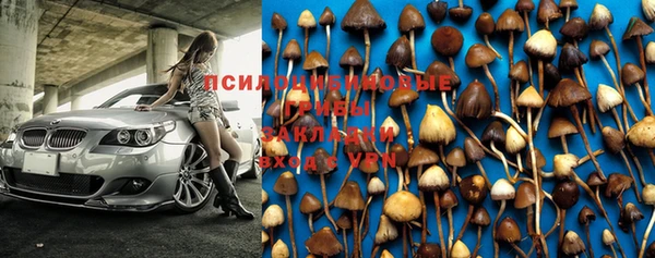 тгк Михайловск